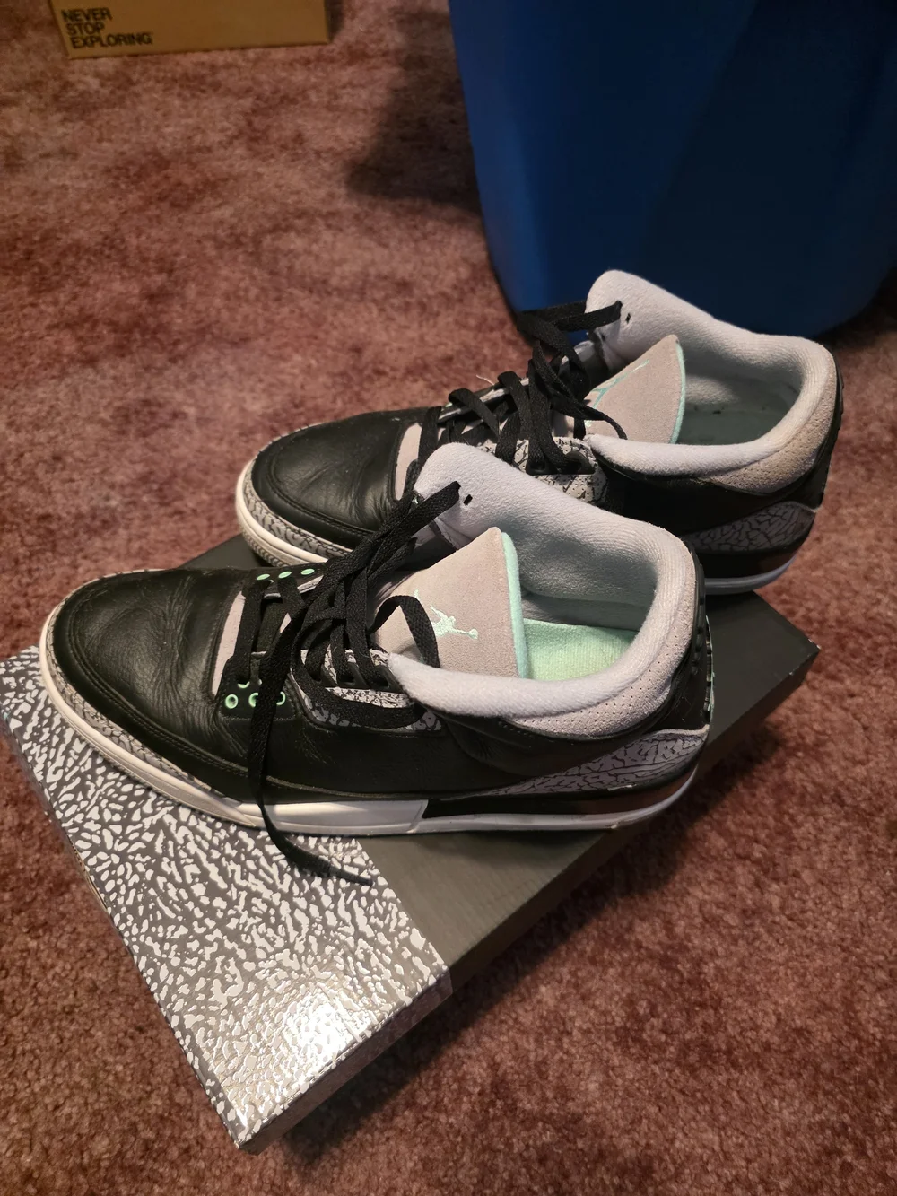 Mens Jordan 3 retro shoes